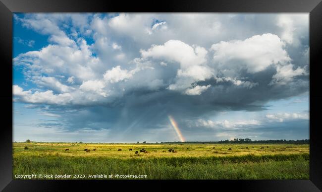 Rainbow Over Broadland Framed Print by Rick Bowden