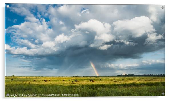 Rainbow Over Broadland Acrylic by Rick Bowden