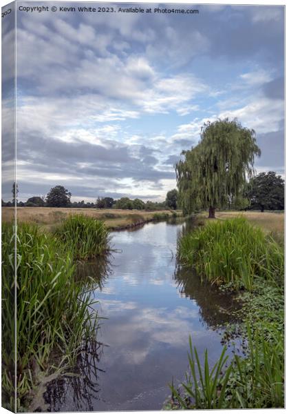 Light before the rain at Bushy Park Surrey Canvas Print by Kevin White