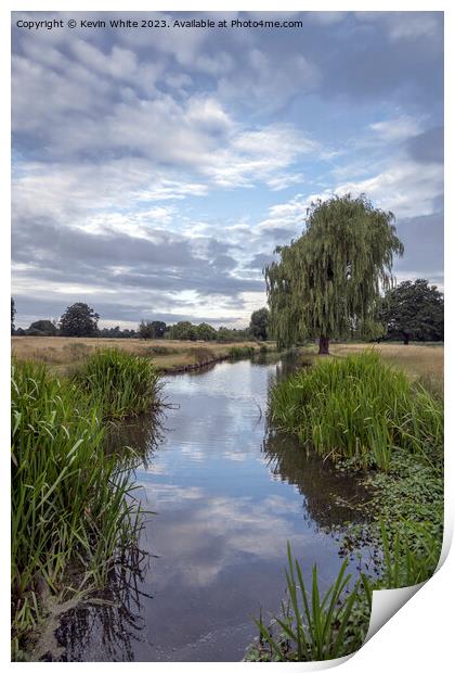 Light before the rain at Bushy Park Surrey Print by Kevin White