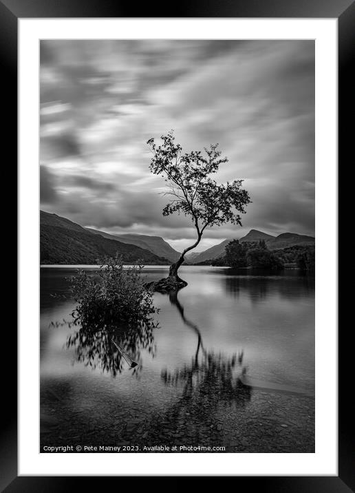 The Lone Tree Framed Mounted Print by Pete Mainey