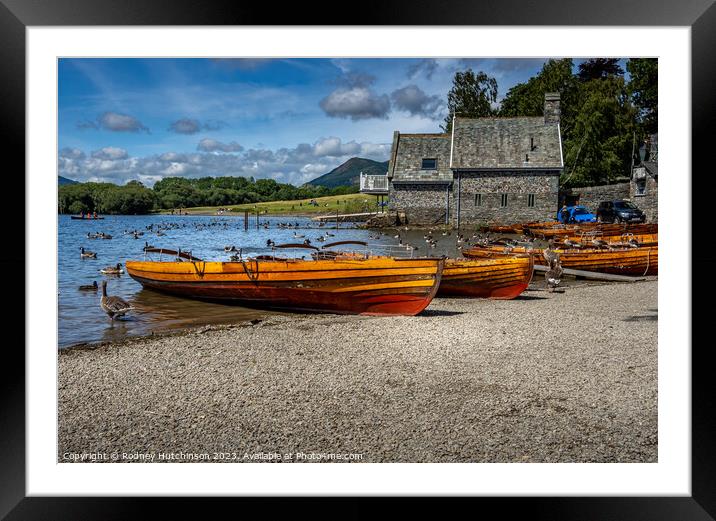 Rowing Boats for hire  Framed Mounted Print by Rodney Hutchinson