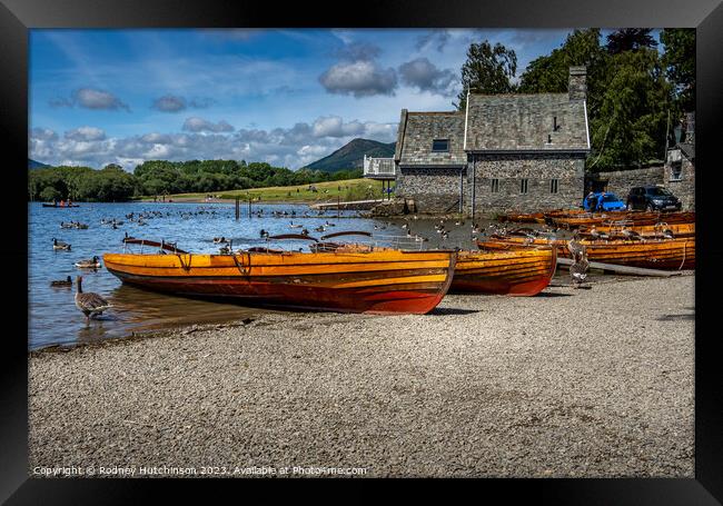 Rowing Boats for hire  Framed Print by Rodney Hutchinson