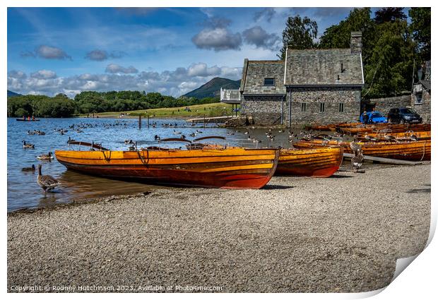 Rowing Boats for hire  Print by Rodney Hutchinson