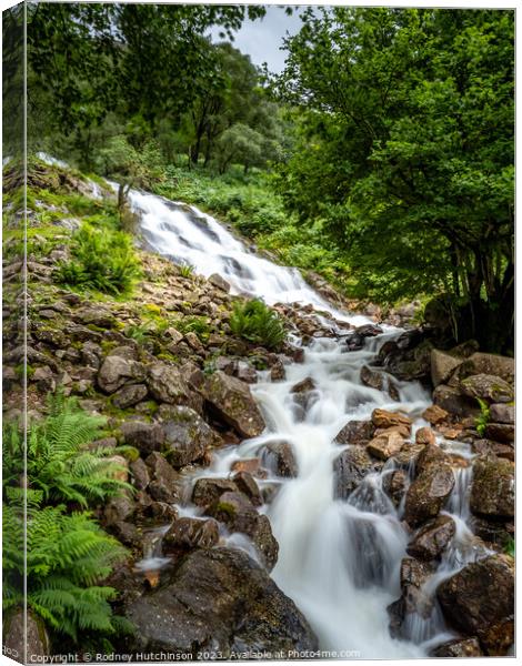 Waterfall Buttermere Canvas Print by Rodney Hutchinson