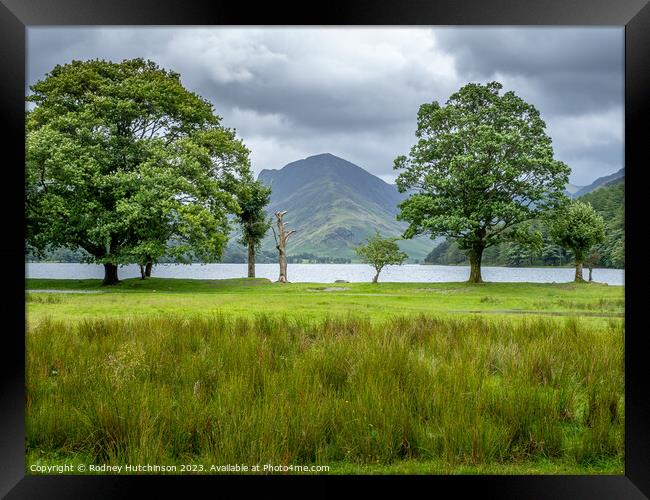  Buttermere Lake Framed Print by Rodney Hutchinson