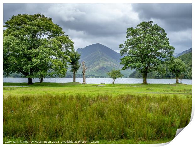  Buttermere Lake Print by Rodney Hutchinson