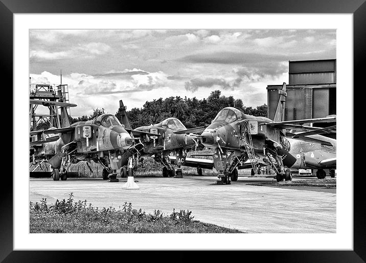 Jaguars, RAF Cosford Framed Mounted Print by Jason Connolly