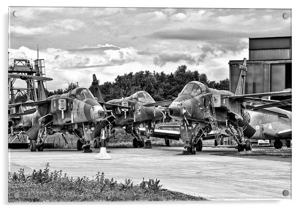 Jaguars, RAF Cosford Acrylic by Jason Connolly