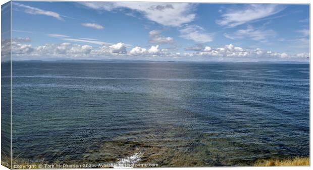 Dolphin's Playground: Moray Firth Canvas Print by Tom McPherson