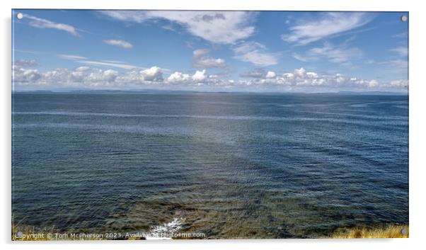 Dolphin's Playground: Moray Firth Acrylic by Tom McPherson