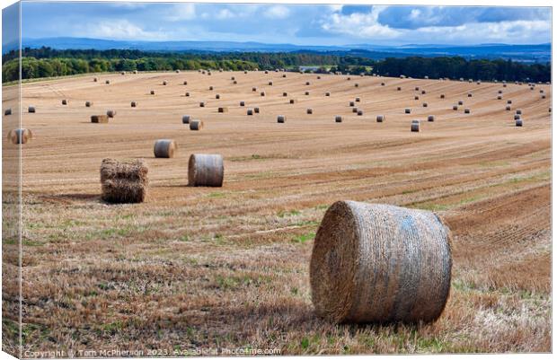 Harvest's Echo in Moray Canvas Print by Tom McPherson