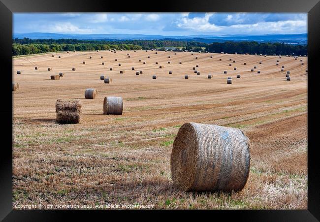 Harvest's Echo in Moray Framed Print by Tom McPherson