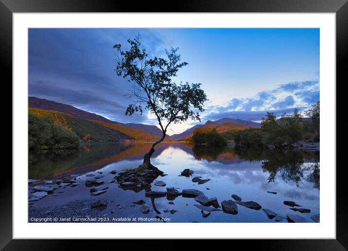 Magic Hour at the Lone Tree Framed Mounted Print by Janet Carmichael