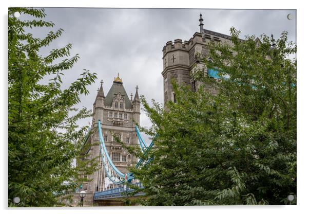 Tower Bridge seen between the trees Acrylic by Jason Wells