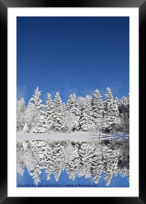A snowy forest after the storm Framed Mounted Print by Claude Laprise