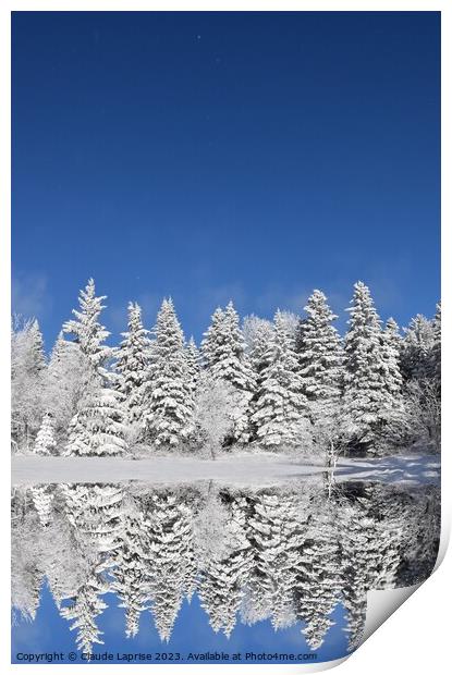 A snowy forest after the storm Print by Claude Laprise