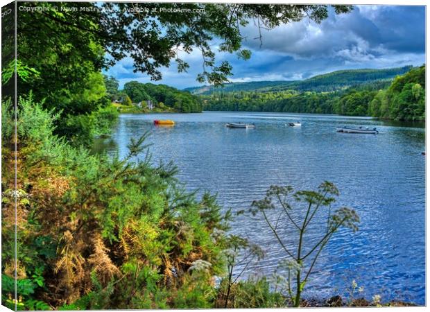 River Tummel at Pitlochry Canvas Print by Navin Mistry