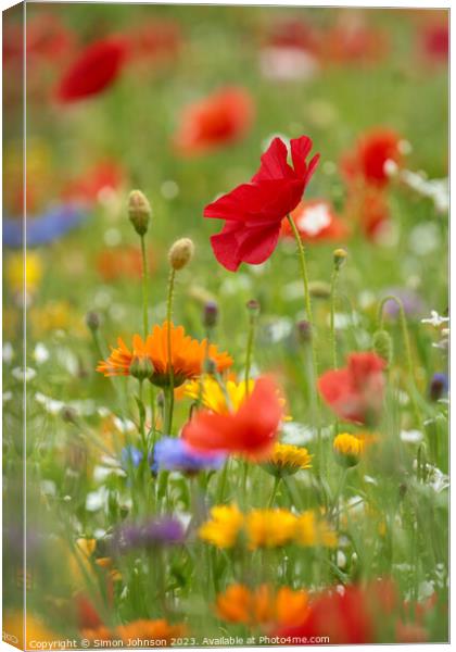 Wild flowers  Canvas Print by Simon Johnson