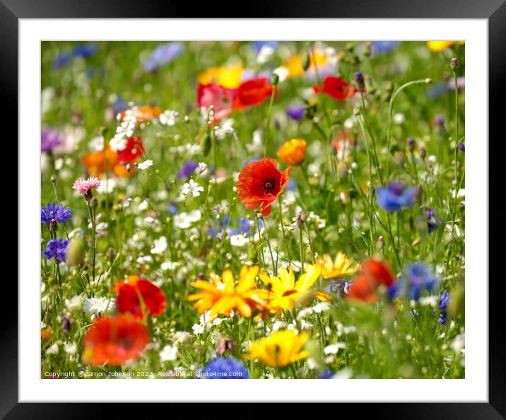colorful flowers Framed Mounted Print by Simon Johnson