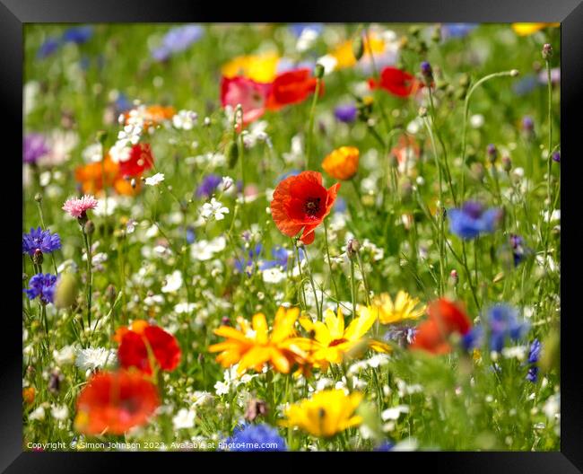 colorful flowers Framed Print by Simon Johnson