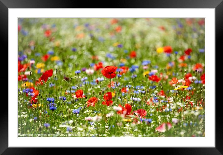 Wild flowers field Framed Mounted Print by Simon Johnson
