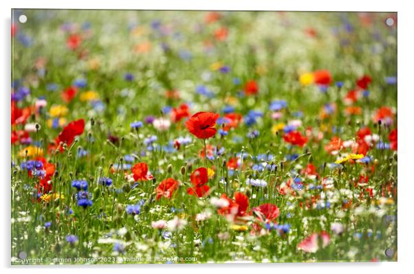 Wild flowers field Acrylic by Simon Johnson