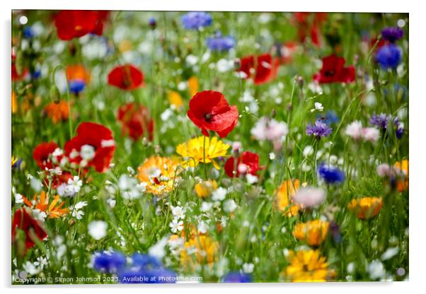 Wild flowers  Acrylic by Simon Johnson