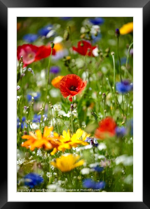 Wild flowers  Framed Mounted Print by Simon Johnson