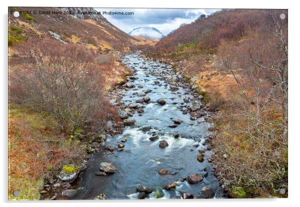 Highland stream Acrylic by David Hare