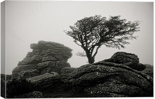 Holwell Tor in the Mist Canvas Print by Pete Hemington