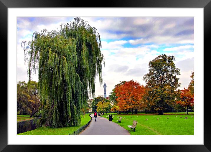 Autumn Splendour in Regents Park Framed Mounted Print by Andy Evans Photos