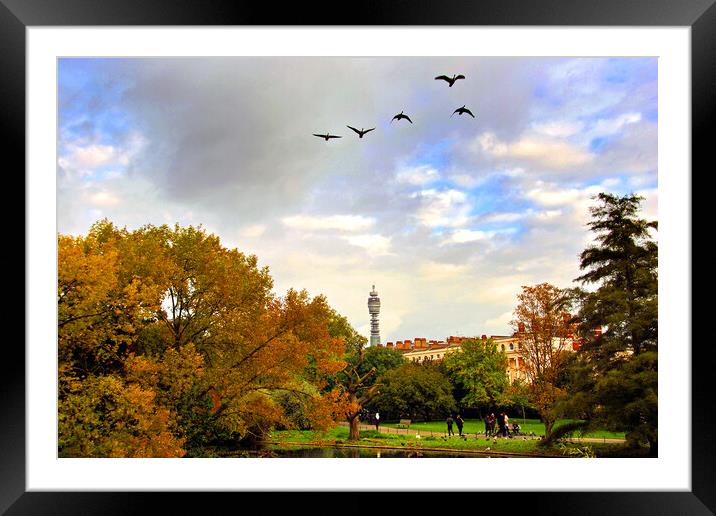 Enchanting Autumnal Serenity, Regents Park Framed Mounted Print by Andy Evans Photos