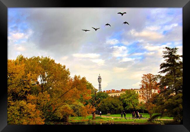 Enchanting Autumnal Serenity, Regents Park Framed Print by Andy Evans Photos