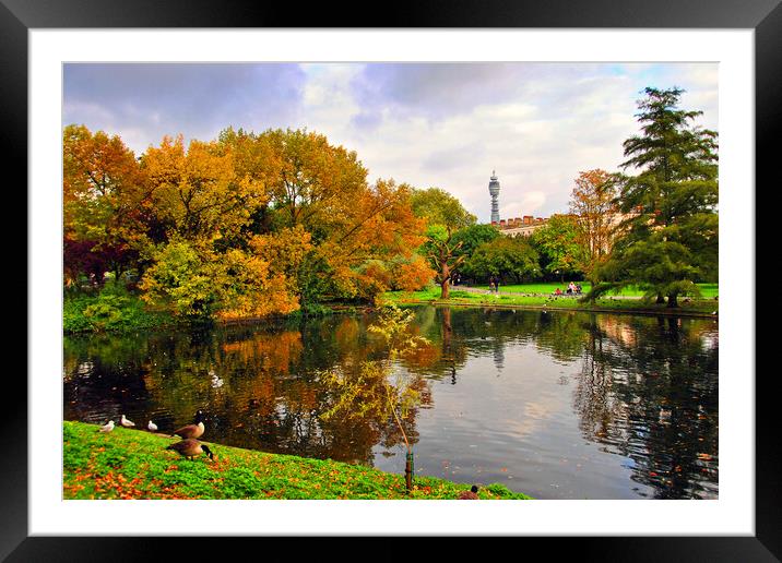 Autumnal Splendour in Regents Park Framed Mounted Print by Andy Evans Photos