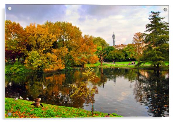 Autumnal Splendour in Regents Park Acrylic by Andy Evans Photos