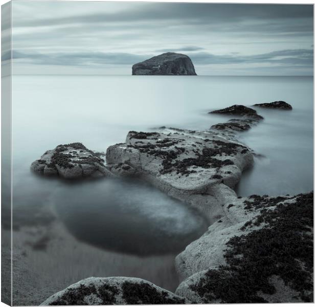 Bass Rock and the Cauldron  Canvas Print by Anthony McGeever