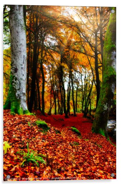 Autumn's Vibrant Embrace Acrylic by Stephen Hamer