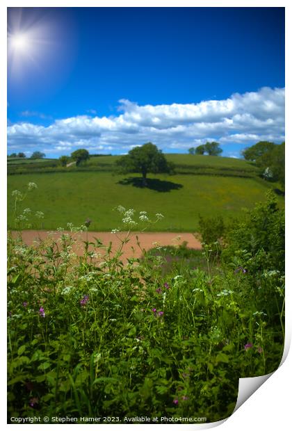 Lone Tree Print by Stephen Hamer