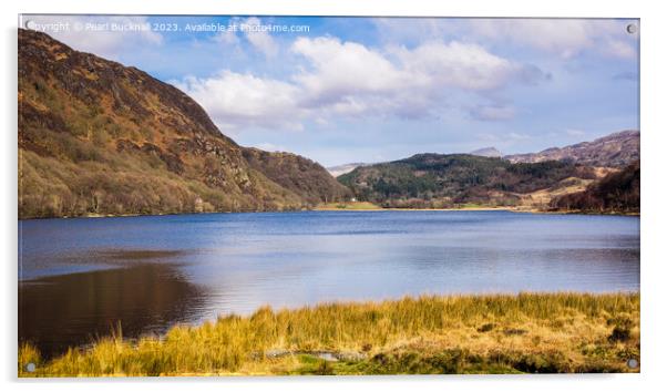 Llyn Dinas Lake Snowdonia Wales pano Acrylic by Pearl Bucknall