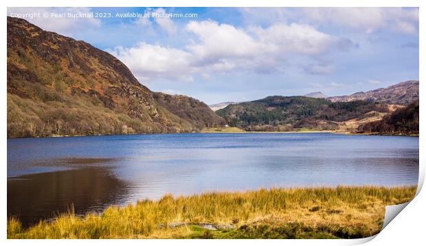 Llyn Dinas Lake Snowdonia Wales pano Print by Pearl Bucknall