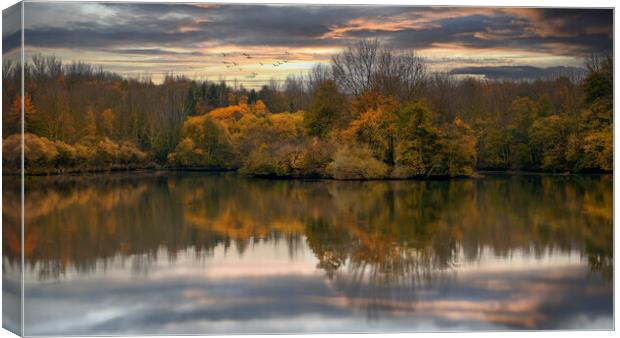 Trench Middle Pool Canvas Print by simon alun hark