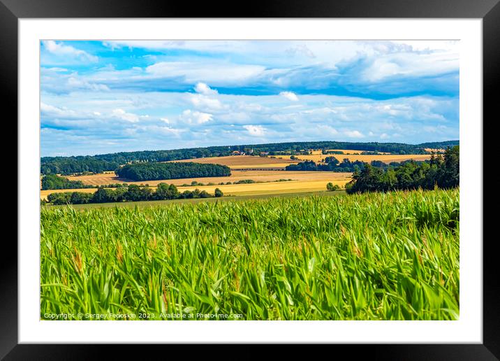 Summer rural landscape Framed Mounted Print by Sergey Fedoskin