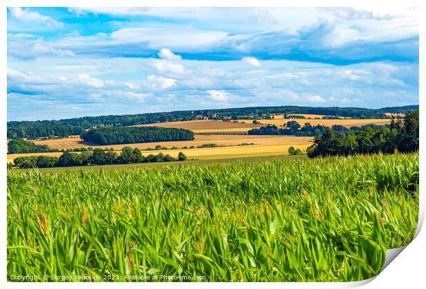 Summer rural landscape Print by Sergey Fedoskin
