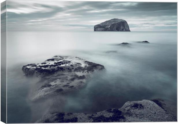 Bass Rock from Seacliff  Canvas Print by Anthony McGeever