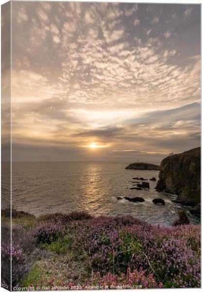 South Stack Lighthouse at sunset  Canvas Print by Gail Johnson