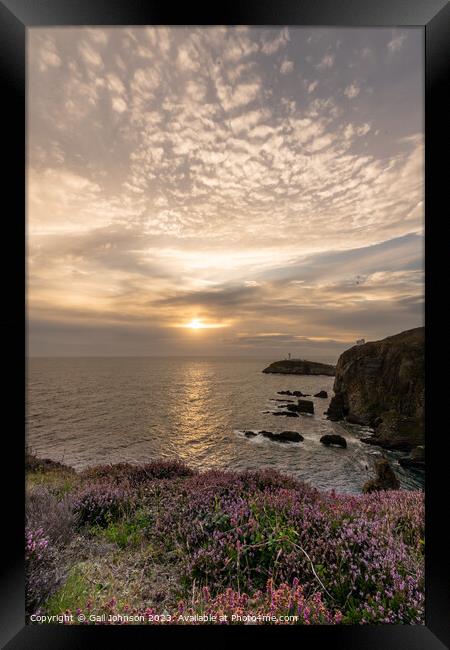 South Stack Lighthouse at sunset  Framed Print by Gail Johnson
