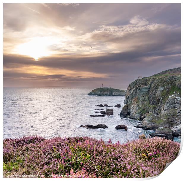 South Stack Lighthouse at sunset  Print by Gail Johnson