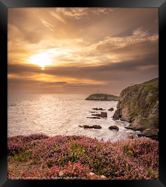 South Stack Lighthouse at sunset  Framed Print by Gail Johnson