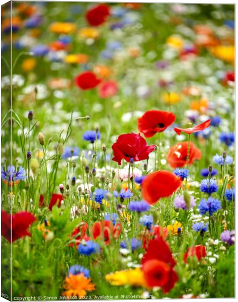 wild flower field with Poppies Canvas Print by Simon Johnson